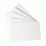 DURABLE 100 CARTE PLASTIQUE VIERGE POUR IMPRIMANTE À CARTES DURACARD ID 300