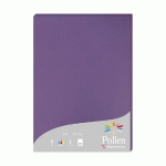 ETUI DE 25 FEUILLES POLLEN 210X297MM 210G/M2 - VIOLINE - LOT DE 2