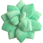 XINUY - OREILLER SUCCULENT DE 9,8 PO, OREILLERS EN PELUCHE DE PLANTES EN PELUCHE MIGNONNES, OREILLER DE CACTUS SUCCULENTES 3D, COUSSIN EN PELUCHE