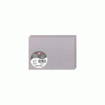 LOT DE 2 - PAQUET DE 25 CARTES PLIÉES POLLEN 110X155MM 210G/M2 - GRIS KOALA