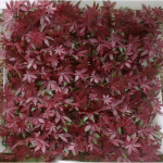 PLAQUE ARTIFICIELLE DE VIGNE VIERGE ROUGE JET7GARDEN