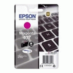EPSON 407 CARTOUCHE COULEURS SÉPARÉES POUR IMPRIMANTE JET D