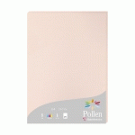 ETUI DE 25 FEUILLES POLLEN 210X297MM 210G/M2 - OPALINE - LOT DE 2