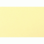 GOLDLINE CONTRECOLLÉ 10F A1 750G 1250 MICRONS - BEIGE