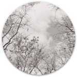 TABLEAU EN MÉTAL ROND MÉTALLISÉ COURONNE D'ARBRE CIEL HIVER FORÊT RÊVE VINTAGE Ø 30CM - BLANC