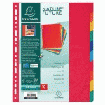 SET DE 10 INTERCALAIRES CARTE LUSTRÉE 225G A4 MAXI - EXACOMPTA