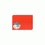 LOT DE 2 - PAQUET DE 25 CARTES PLIÉES POLLEN 110X155MM 210G/M2 - ROUGE CORAIL