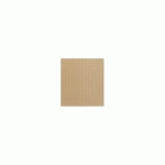 NAPPE SPUNBOND NON-TISSÉ ROULEAU PRÉ-DÉCOUPÉE 120 CM 60 G/M² 1.20X24 M PP SABLE