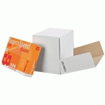 PAPIER A4 BLANC 80 G BRUNEAU REPROSPEED - BOÎTE DE 2500 FEUILLES