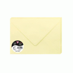 LOT DE 2 - PAQUET DE 20 ENVELOPPES POLLEN 162X229MM 120G/M² - CANARI