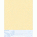 PASTELMAT CONTRECOLLÉ 5F 70X100CM - BOUTON D