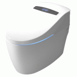 WC LAVANT MONOBLOC LUXE - PLATINIUM 2 TOPTOILET