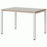 TABLE MALIBU 120X80 T6 SOUDÉ STR ALAISÉ BLC SE W911/BLC 9016
