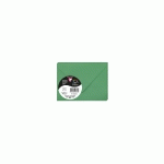 PAQUET DE 5 ENVELOPPES POLLEN 75X100MM 120G/M2 - VERT SAPIN - LOT DE 15