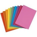 CHEMISE 180G COLORIS ASSORTIS.