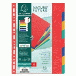 SET DE 8 INTERCALAIRES CARTE LUSTRÉE 225G A4 - EXACOMPTA