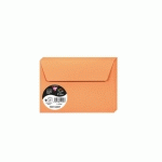 PAQUET DE 20 ENVELOPPES POLLEN 114X162MM 120G/M2 - CLÉMENTINE - LOT DE 4