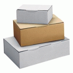 LOT DE 50 - BOÎTE POSTALE KRAFT BRUN SIMPLE CANNELURE H 6 X L 8 X P 10 CM