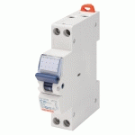DISJONCTEUR 32A COURBE C PHASE + NEUTRE - GEWISS - GW90610