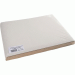 SET DE TABLE 30X40 CM - BLANC GLACÉ - PAQUET DE 500 SERVIETTES - COGIR