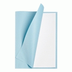 SOUS-CHEMISE 60 G EXACOMPTA 22 X 31 CM BLEUE - PAQUET DE 250