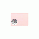 LOT DE 2 - PAQUET DE 25 CARTES PLIÉES POLLEN 110X155MM 210G/M2 - ROSE