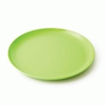 ASSIETTE PLATE 24CM CLASSIQUE MELAMINE VERTE