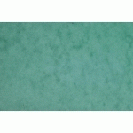 CARTE EUROPA PAQUET 50F A3 256G - VERT - LOT DE 50