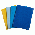 LOT DE 4 - PROTÈGE-DOCUMENTS BEE BLUE EXACOMPTA POLYPROPYLÈNE A4 20 POCHETTES - 40 VUES COULEURS ASSORTIES