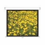 OPTOMA DS-3120PMG+ ÉCRAN DE PROJECTION 3,05 M (120