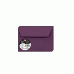 PAQUET DE 20 ENVELOPPES POLLEN 114X162MM 120G/M2 - CASSIS - LOT DE 4