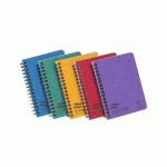 LOT DE 10 - NOTEMAKER EUROPA CAHIER RELIURE INTÉGRALE A6 120 PAGES DÉTACHABLES PETITS CARREAUX - ASSORTIMENT A