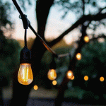 EKO-LIGHT GUIRLANDE LUMINEUSE EXTÉRIEURE GIRLANDA, NOIR, IP44, 10 M, À 10 LAMPES
