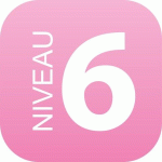 PLAQUE SIGNALÉTIQUE EN DRAPEAU PLEXI - NIVEAU 6 (ROSE)