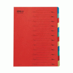 LOT DE 10 - TRIEUR CARTE EXTENDOS 12 DIVISIONS ROUGE