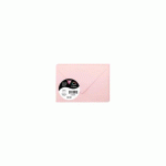LOT DE 2 - PAQUET DE 20 ENVELOPPES POLLEN 75X100MM 120G/M² - ROSE