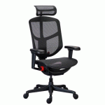 CHAISE ULTRA-ERGONOMIQUE ERGOHUMAN HALO AVEC ACCOUDOIRS ET APPUIE-TÊTE RÉGLABLES