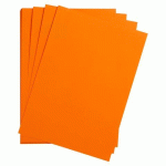 LOT DE 2 - MAYA RAME 25F A4 185G - CLÉMENTINE