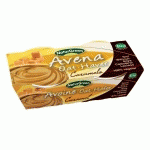 NATURGREEN DESSERT AVOINE CARAMEL 2X125G DESSERTS VÉGÉTAUX