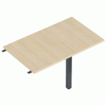 ENIS RETOUR 120 X 60 CM + 1 PIED ANTH. PLT. CHÊNE CLAIR - MBA