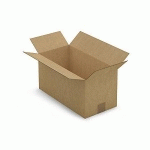 CAISSE CARTON BRUNE SIMPLE CANNELURE RAJA 40X20X20 CM