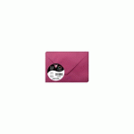 LOT DE 2 - PAQUET DE 20 ENVELOPPES POLLEN 75X100MM 120G/M² - FRAMBOISE