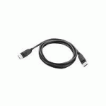 LENOVO DISPLAYPORT 1,8 M NOIR