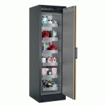 ARMOIRE SÉCURITÉ Q-PEGASUS-90 Q90.195.060.WDACR GRIS/JAUNE - ASECOS