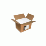 CARTON DE 200 ENVELOPPES POLLEN 162X229MM 120G/M² - BLANC