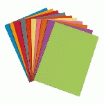 CHEMISE STANDARD 210 G BRUNEAU 24 X 32 CM COULEURS ASSORTIES - PAQUET DE 10