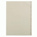 LOT DE 2 - INTERCALAIRE A4 CARTE BEIGE 25 ONGLETS NUMÉRIQUES 76 À 100 BEIGES - 1 JEU