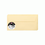 LOT DE 2 - PAQUET DE 20 ENVELOPPES POLLEN 110X220MM 120G/M2 - CHAMOIS