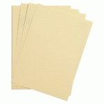 MAYA PAQUET 50F A1 120G - CHAMOIS