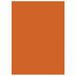 RAJA CHEMISES DOSSIERS 220G RECYCLÉES - 24 X 32 CM - ORANGE - LOT DE 100